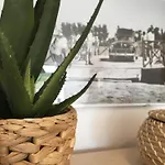 Apartament Lo Passador