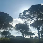 Tranquila Casa De Madera