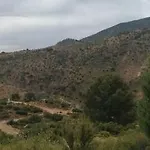 La Solana De Turon. El Pino