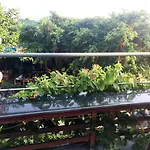 Hoa Luan Hostel