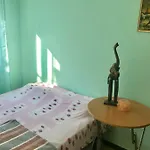 Habitaciones Compartidas En Un Apartamento