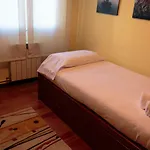 Edortarena Home E-Bi 733
