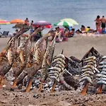 Luxury In The Beach, Lubina Sol