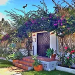 Beachfront Oasis In Costa Del Sol.