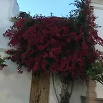 Estepona 3
