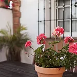 Apartamento Mayo 1