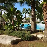 Mar De Arena, Mar De Pinos