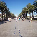 Arquus II Iberplaya