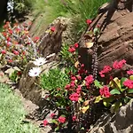 Top Apartment In Los Jardines De Las Golondrinas