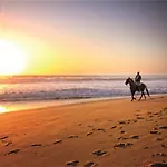 Zahara Sunset - 103413