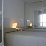 Duplex Penthouse Lunamar