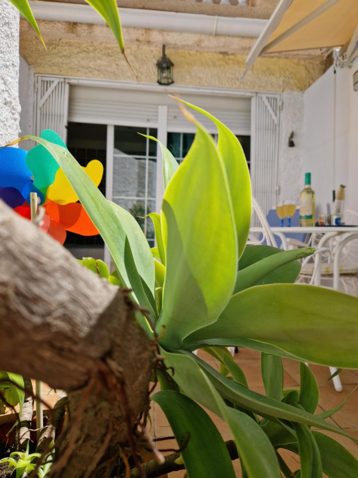 Апартаменты San Antonio - Beach, Pool And Terrace *