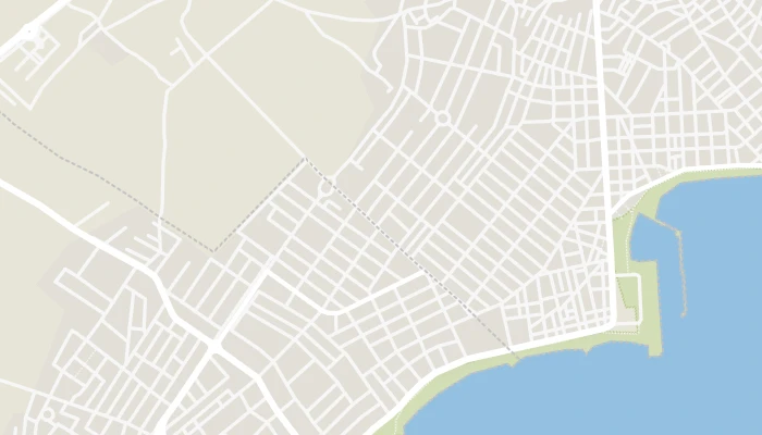 Χάρτης