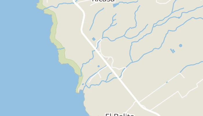 Kort