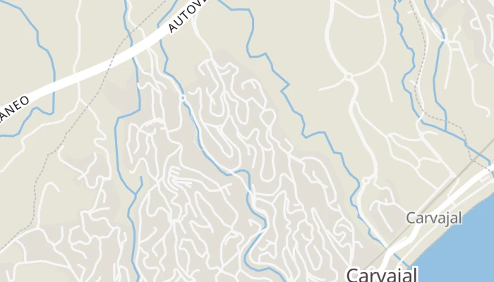 Térkép