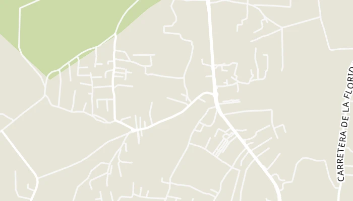 Térkép