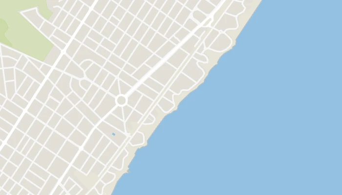 Χάρτης